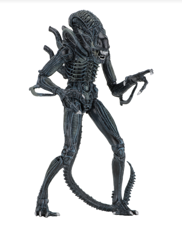 NECA Aliens Ultimate Warrior Blue Alien 7" Xenomorph Action Figure