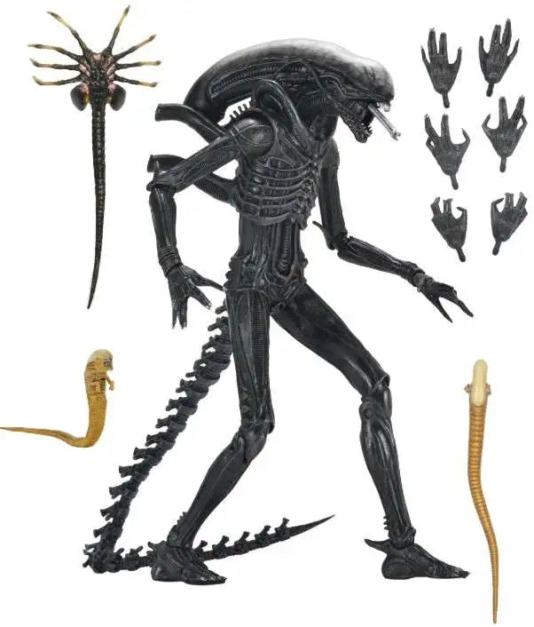 NECA Alien Romulus Ultimate Xenomorph XX121
